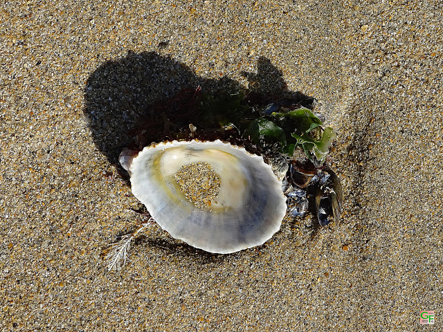 Pouldue-Plage