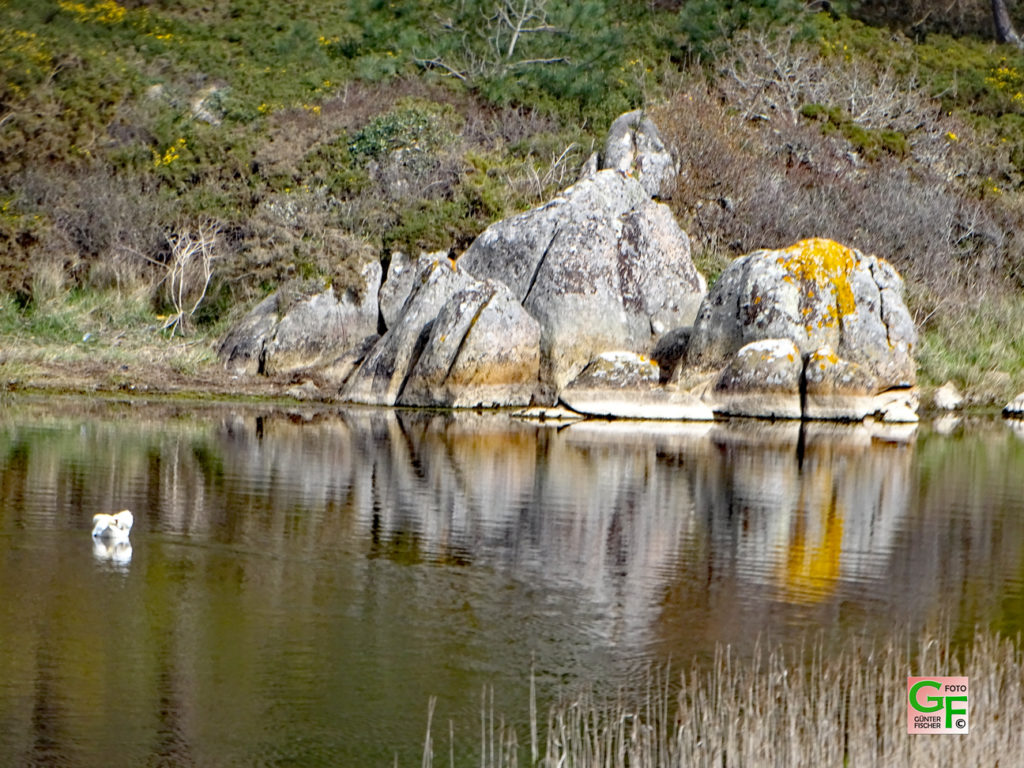 Spiegelbild