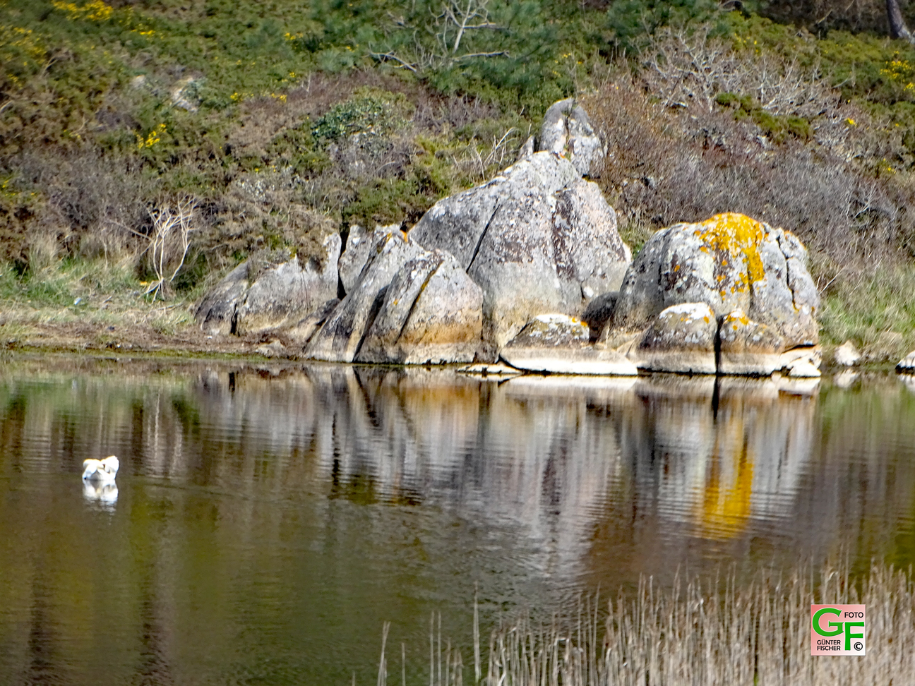 Spiegelbild