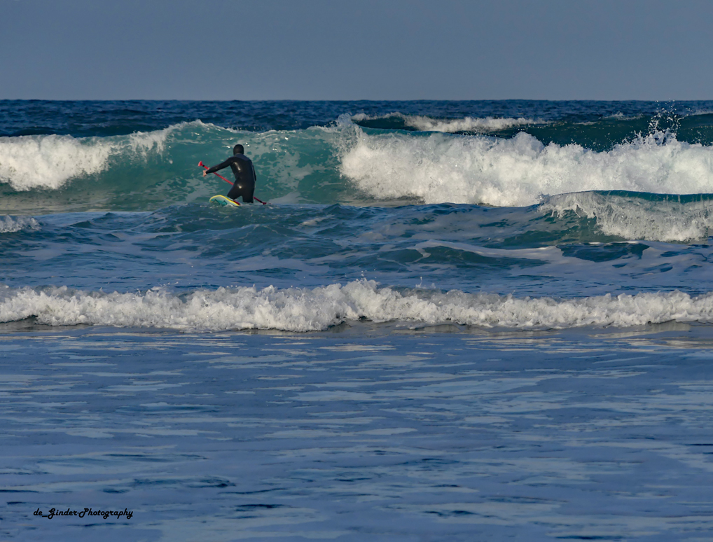 Surfer