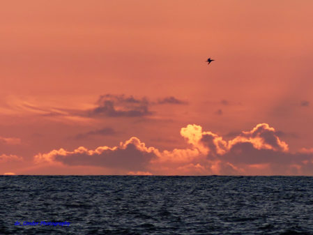 Sonnenuntergang