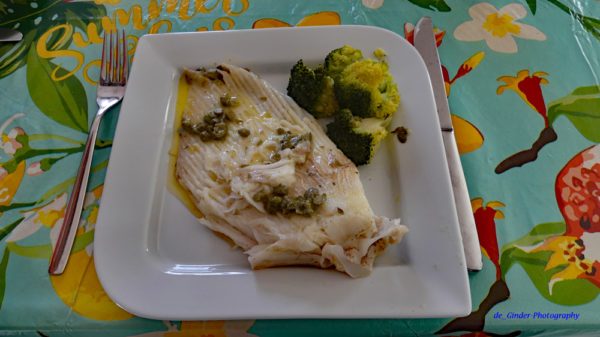 Rochenflügel