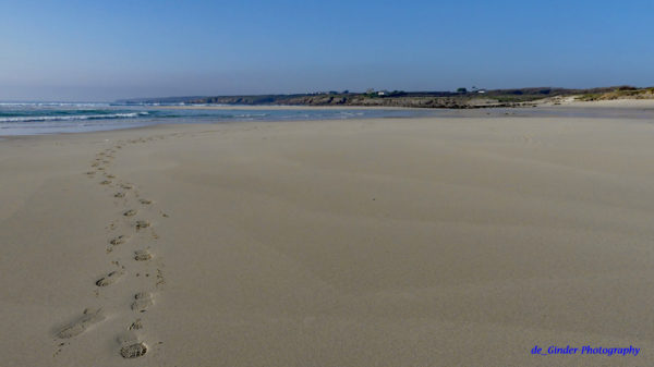Spuren im Sand
