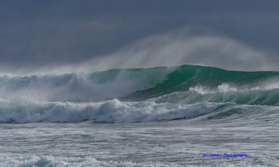 Die Welle