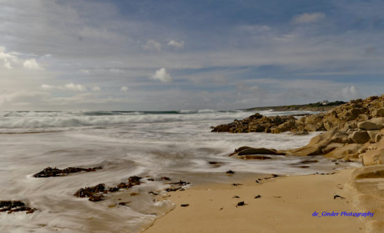 Ein Plage
