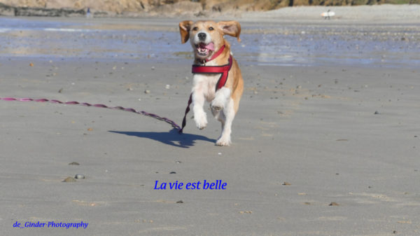 Mahé: La vie est belle