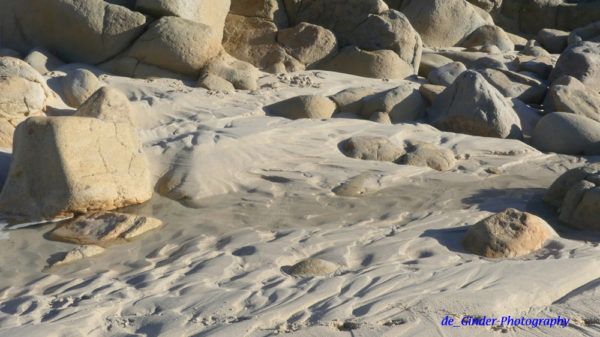 Treibsand am Plage von Trescadec
