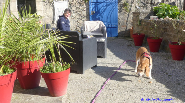 Kaffee-trinken im Garten Anfang Februar 2023