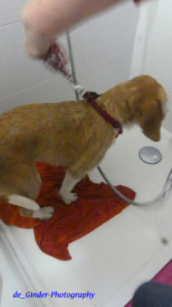 Mahé bei ihrer ersten Dusche
