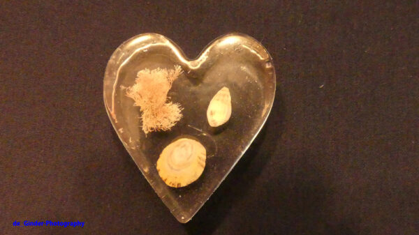 Resin