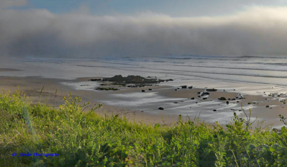 La Pointe du Raz im Nebel