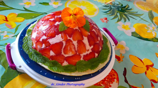 Erbeersahne-Torte à la Ginder