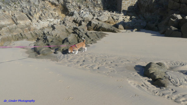 Treibsand am Plage von Trescadec
